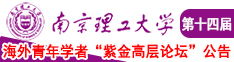 大鸡吧，肏视频南京理工大学第十四届海外青年学者紫金论坛诚邀海内外英才！